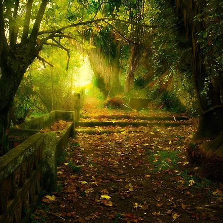 Centro De Naturaleza Canada Verde "El Parque De Naturaleza Con Mas Experiencias De Andalucia"" オルナチュエロス エクステリア 写真