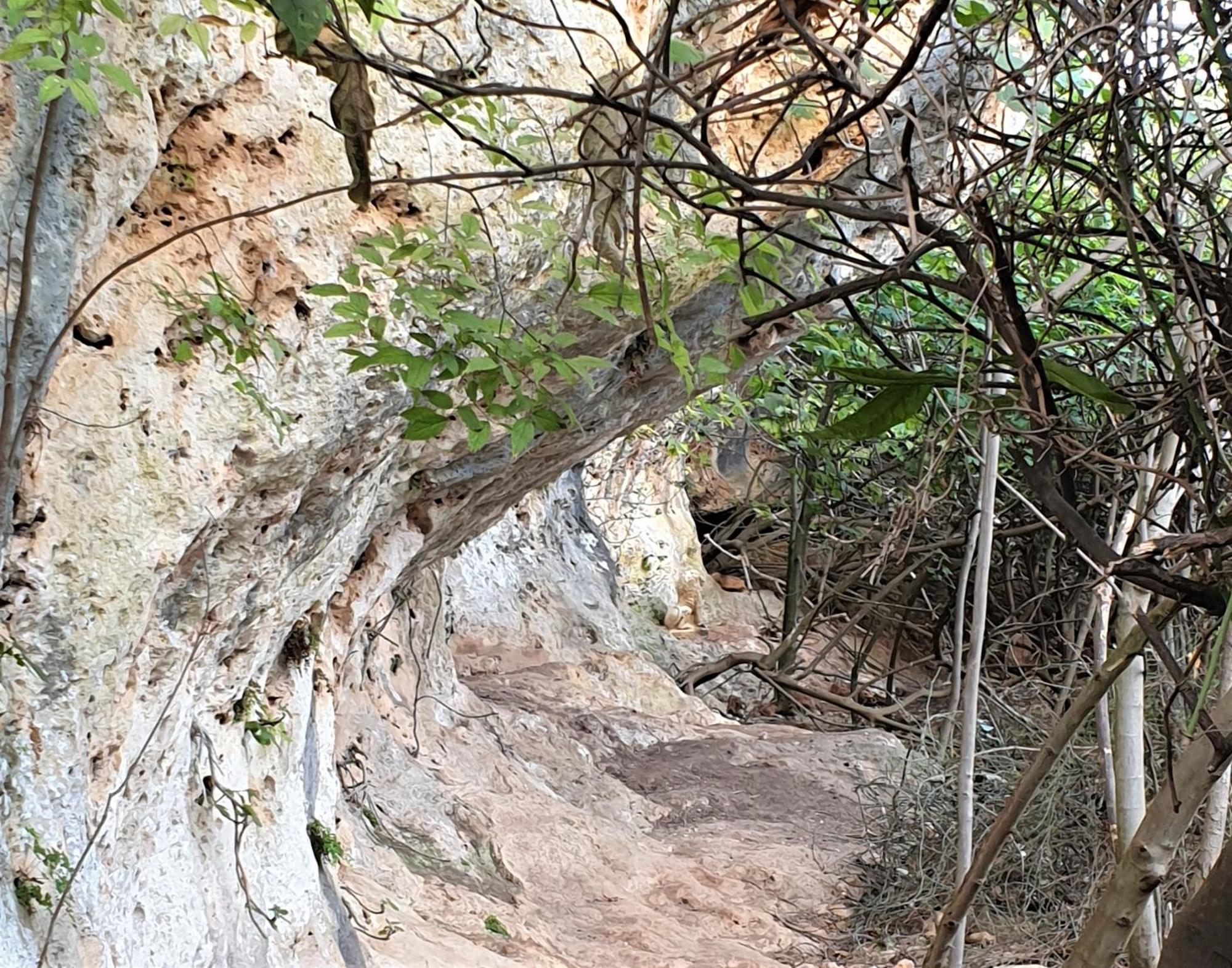 Centro De Naturaleza Canada Verde "El Parque De Naturaleza Con Mas Experiencias De Andalucia"" オルナチュエロス エクステリア 写真