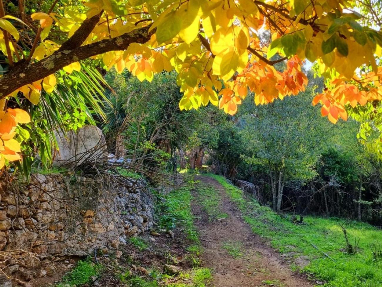 Centro De Naturaleza Canada Verde "El Parque De Naturaleza Con Mas Experiencias De Andalucia"" オルナチュエロス エクステリア 写真