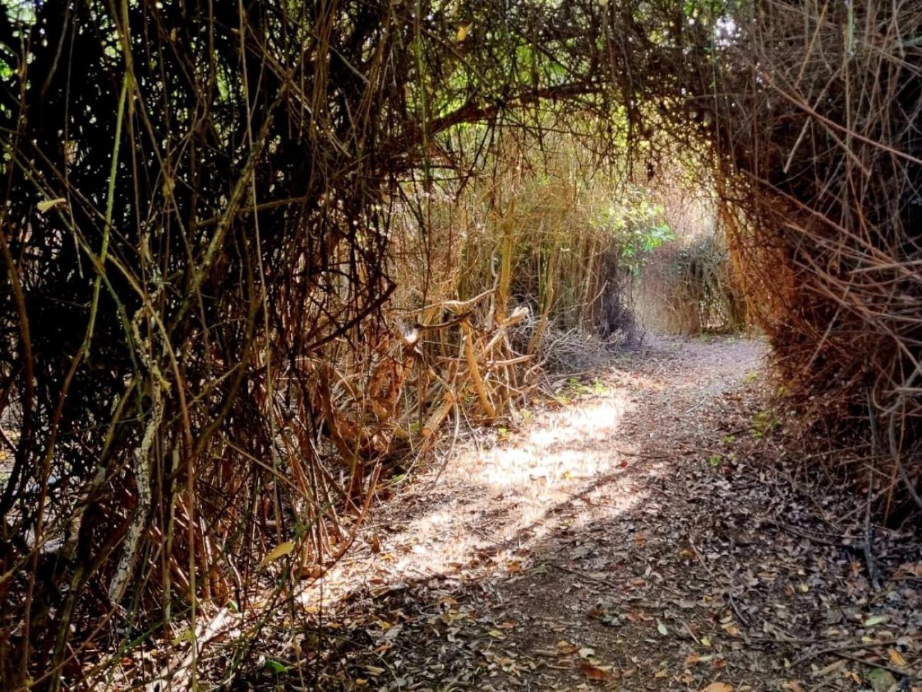 Centro De Naturaleza Canada Verde "El Parque De Naturaleza Con Mas Experiencias De Andalucia"" オルナチュエロス エクステリア 写真