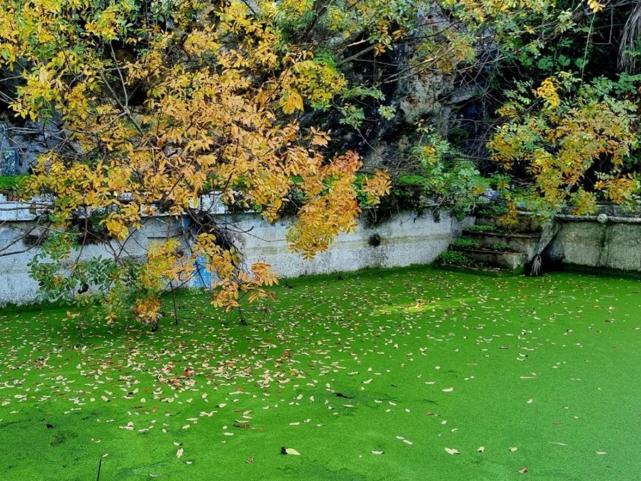 Centro De Naturaleza Canada Verde "El Parque De Naturaleza Con Mas Experiencias De Andalucia"" オルナチュエロス エクステリア 写真