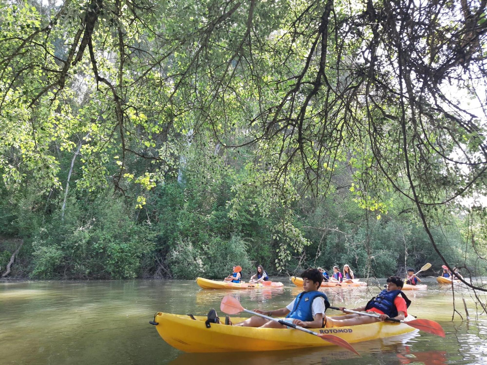 Centro De Naturaleza Canada Verde "El Parque De Naturaleza Con Mas Experiencias De Andalucia"" オルナチュエロス エクステリア 写真