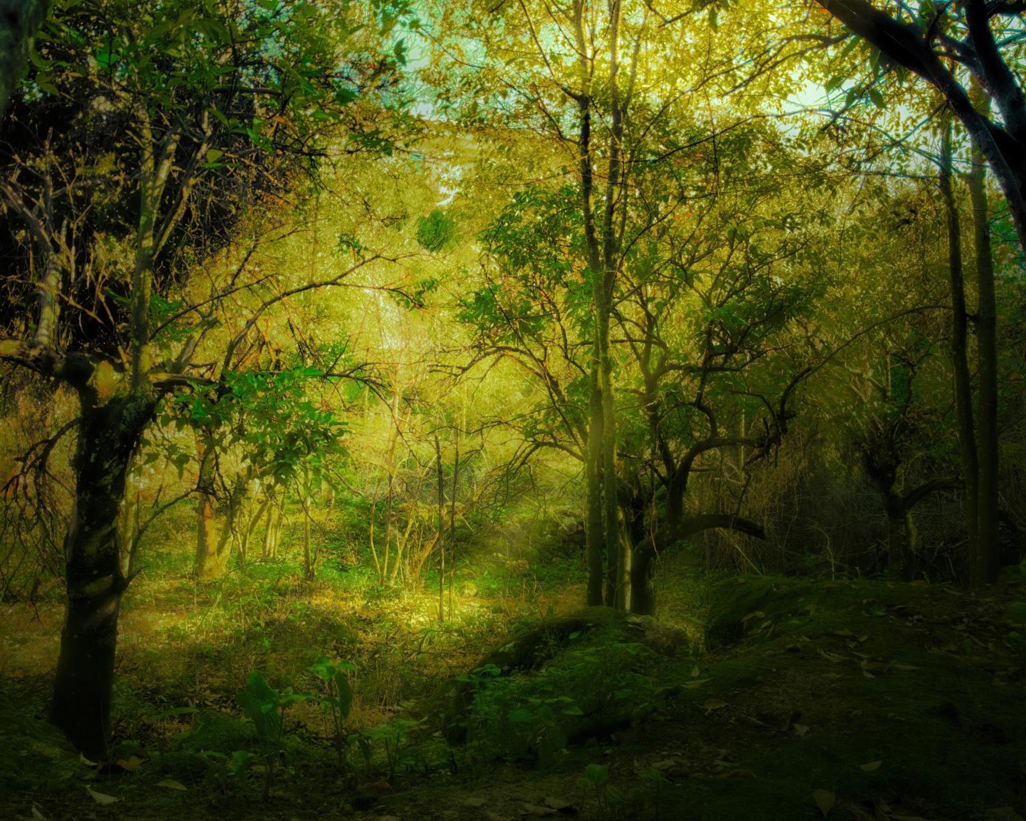Centro De Naturaleza Canada Verde "El Parque De Naturaleza Con Mas Experiencias De Andalucia"" オルナチュエロス エクステリア 写真