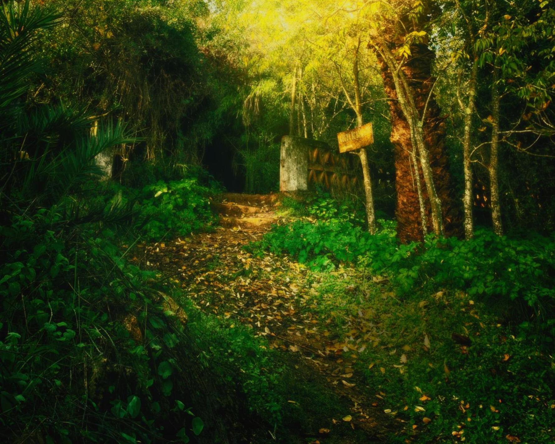 Centro De Naturaleza Canada Verde "El Parque De Naturaleza Con Mas Experiencias De Andalucia"" オルナチュエロス エクステリア 写真