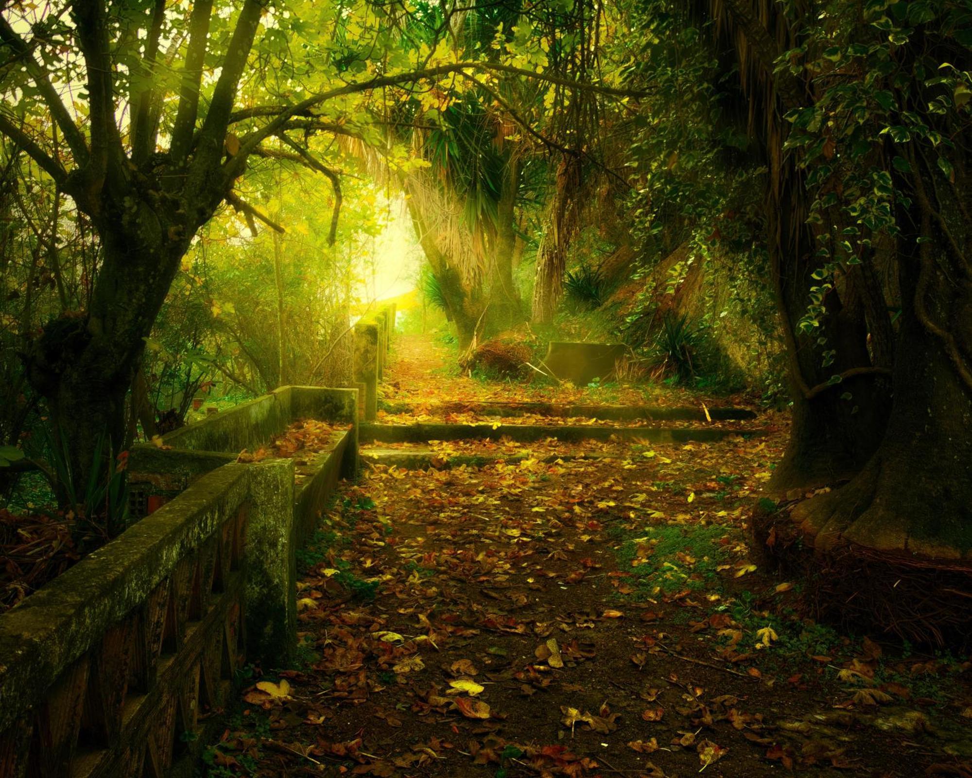 Centro De Naturaleza Canada Verde "El Parque De Naturaleza Con Mas Experiencias De Andalucia"" オルナチュエロス エクステリア 写真