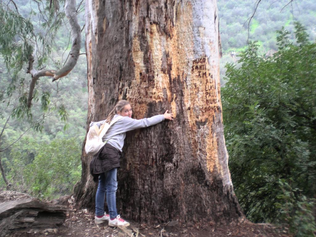 Centro De Naturaleza Canada Verde "El Parque De Naturaleza Con Mas Experiencias De Andalucia"" オルナチュエロス エクステリア 写真