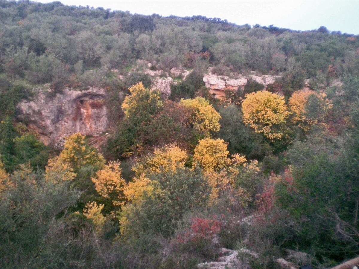 Centro De Naturaleza Canada Verde "El Parque De Naturaleza Con Mas Experiencias De Andalucia"" オルナチュエロス エクステリア 写真