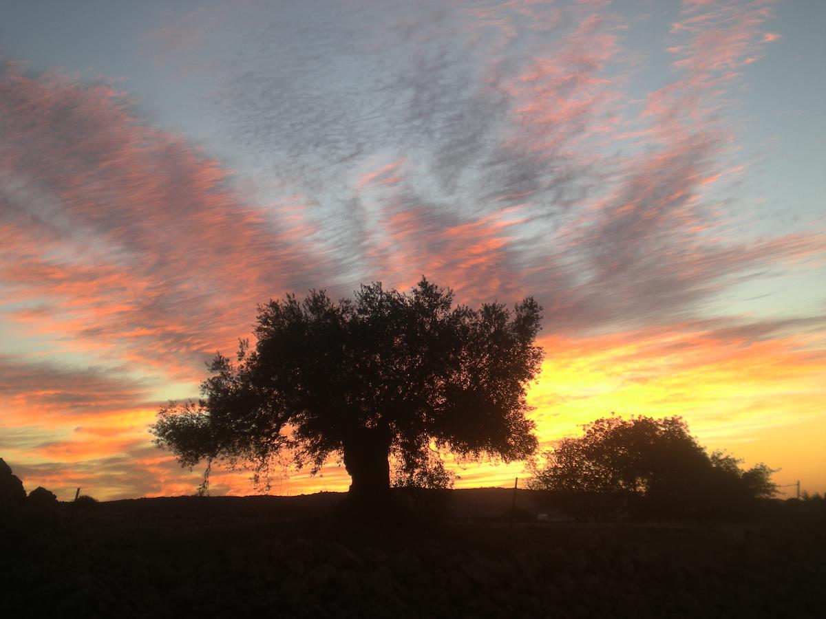 Centro De Naturaleza Canada Verde "El Parque De Naturaleza Con Mas Experiencias De Andalucia"" オルナチュエロス エクステリア 写真