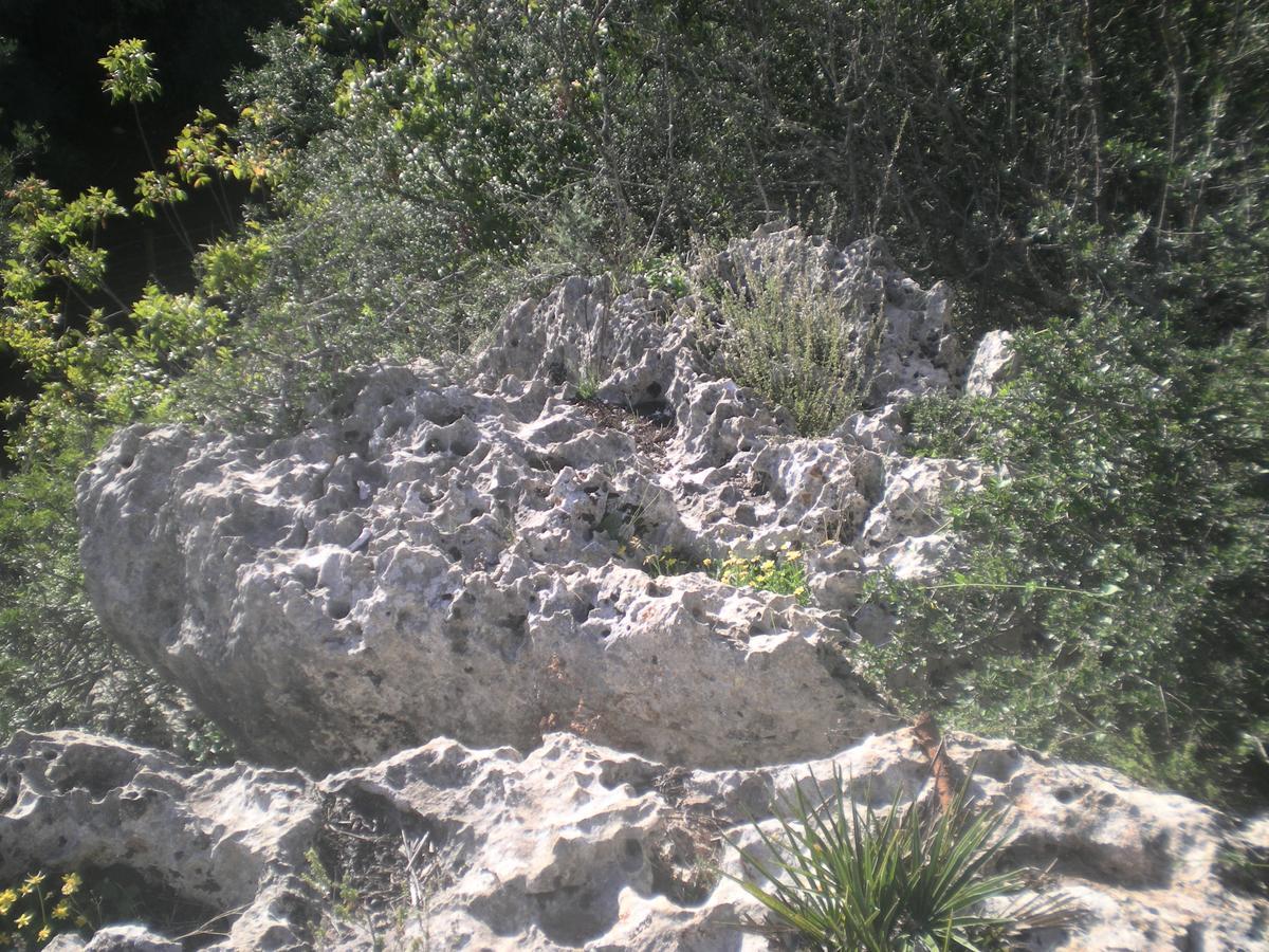 Centro De Naturaleza Canada Verde "El Parque De Naturaleza Con Mas Experiencias De Andalucia"" オルナチュエロス エクステリア 写真