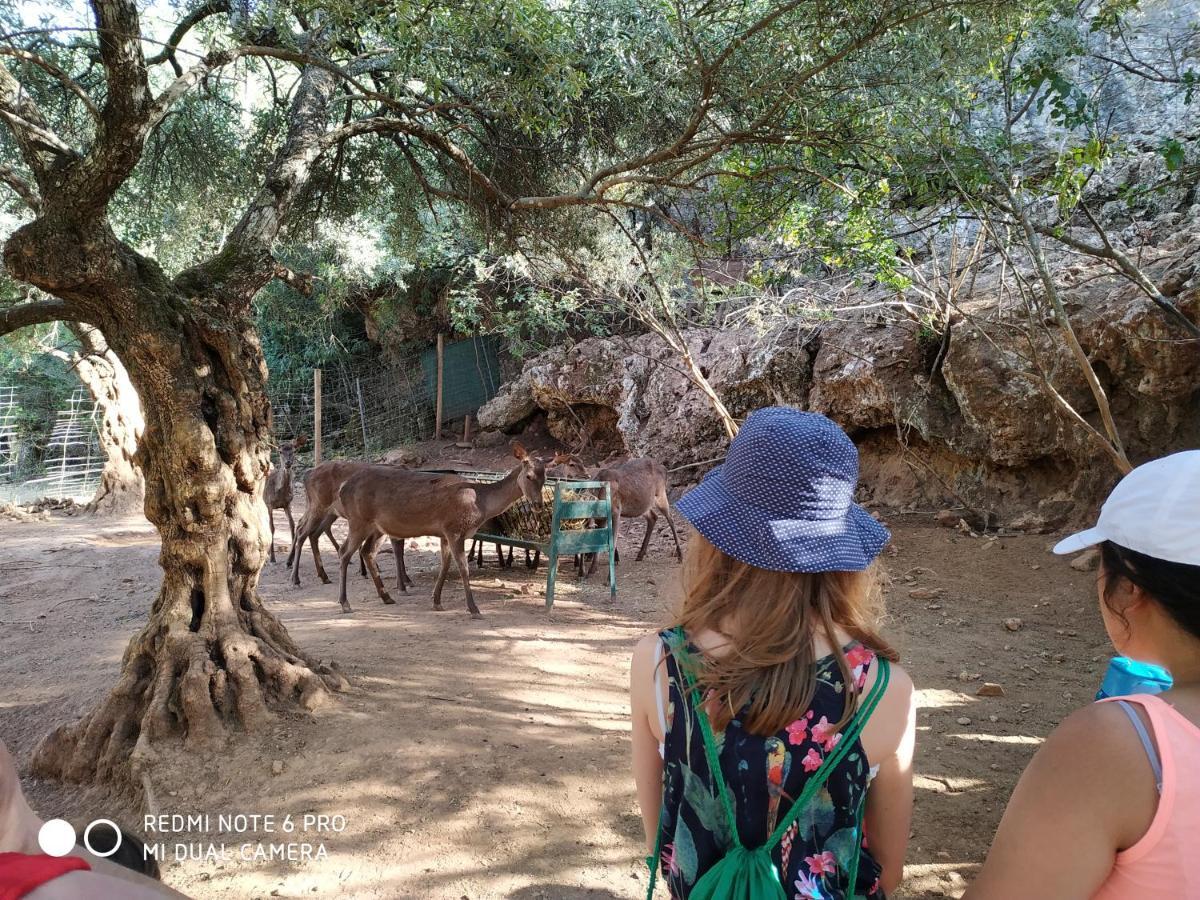Centro De Naturaleza Canada Verde "El Parque De Naturaleza Con Mas Experiencias De Andalucia"" オルナチュエロス エクステリア 写真