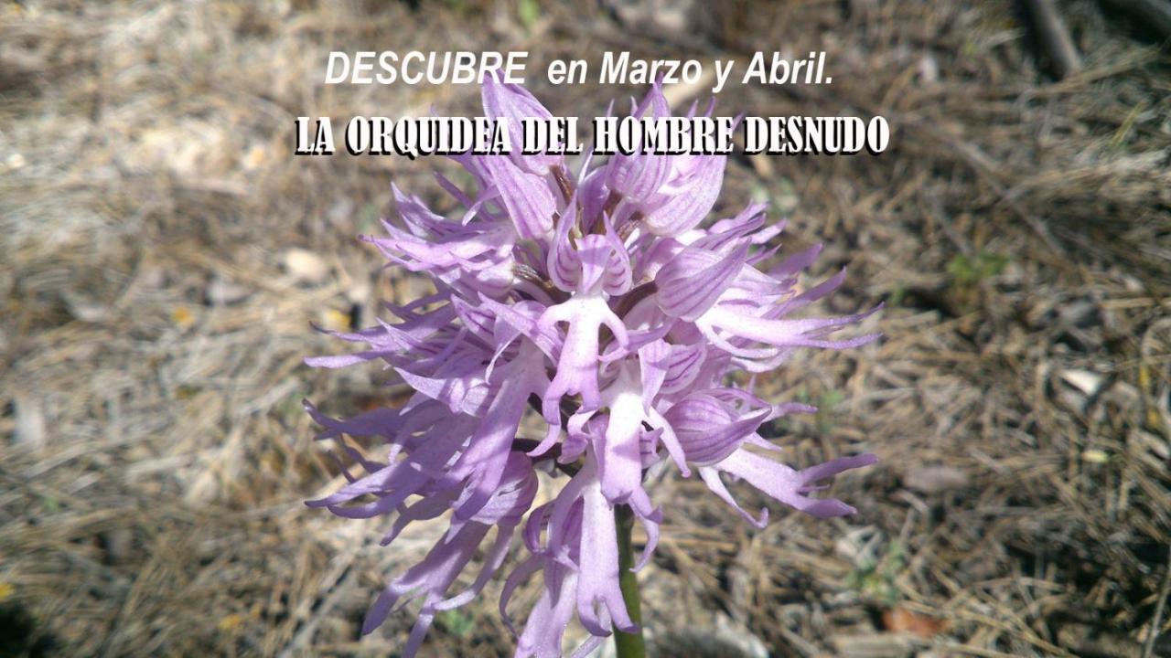 Centro De Naturaleza Canada Verde "El Parque De Naturaleza Con Mas Experiencias De Andalucia"" オルナチュエロス エクステリア 写真
